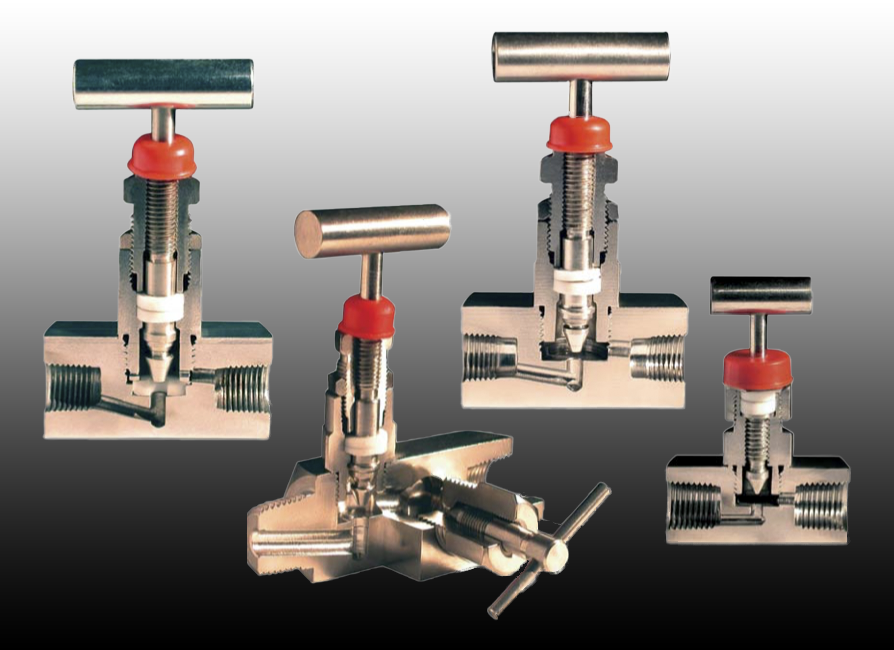 Bellofram Needle Valves