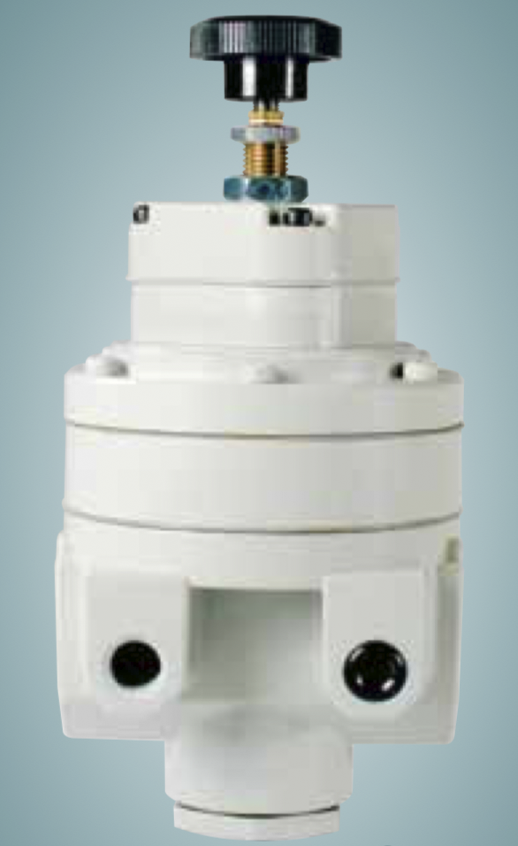 Bellofram Type 110 Pressure Regulator